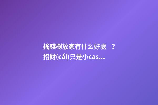 搖錢樹放家有什么好處？招財(cái)只是小case